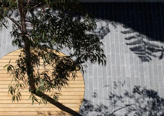 a tree in a circle on a brick patio