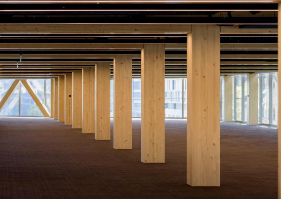 a large wooden pillars in a room