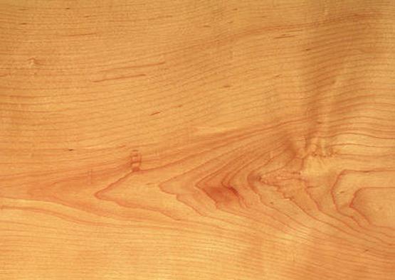 Maple, American Hard wood
