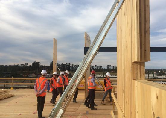 a group of people in orange vests and helmets on a wooden surface