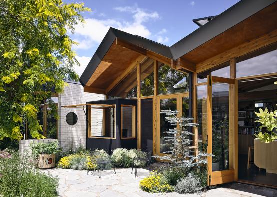 a building with a glass wall and a tree