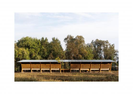 a row of wooden benches in a field with trees in the background