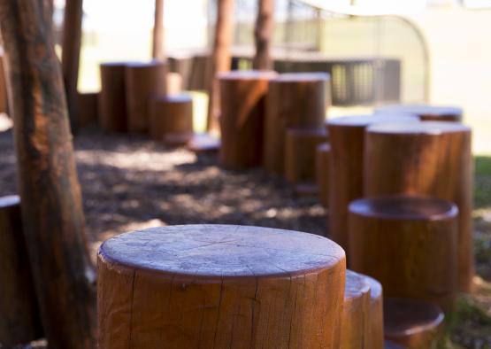 a group of stumps in a playground