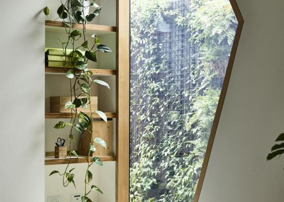 a window with a plant in it