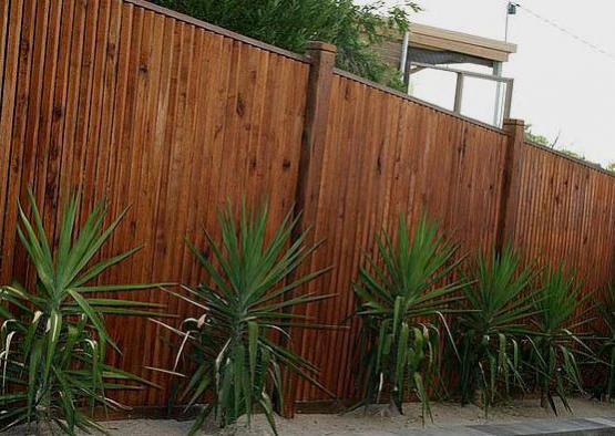 a fence with plants in it