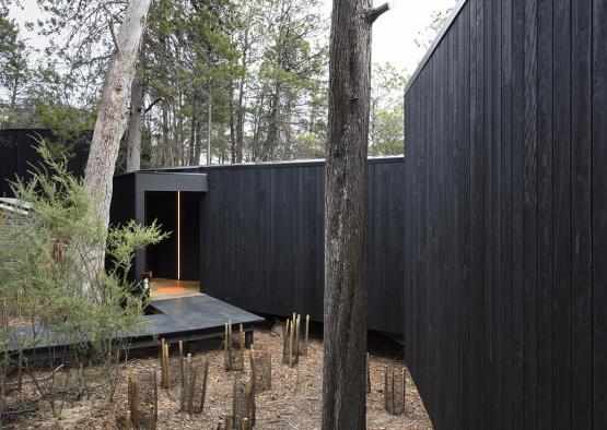 a black building with a wood wall and a tree
