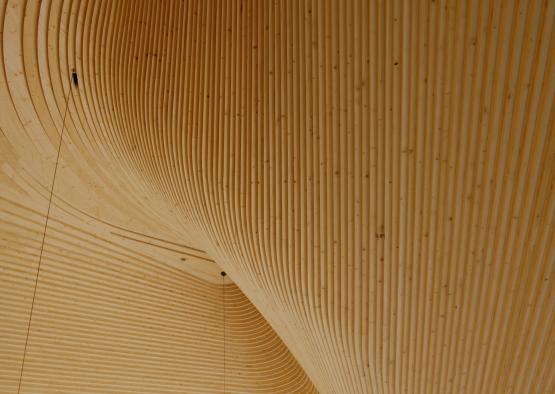 a wood structure with lines