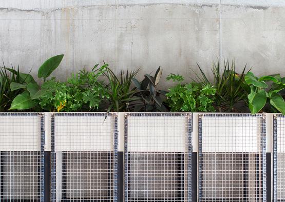 a row of plants in a wall