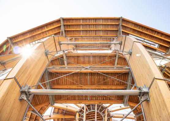 looking up at a wooden tower