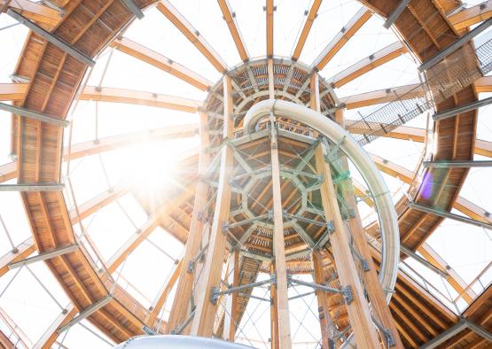 looking up at a structure with a tube and a tube