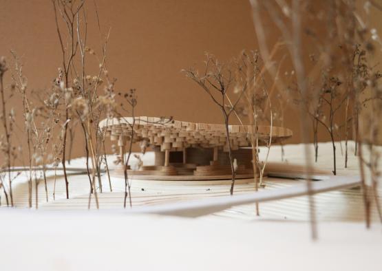 a model of a building with small trees