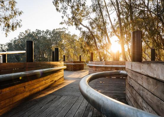 a sun shining through trees on a deck