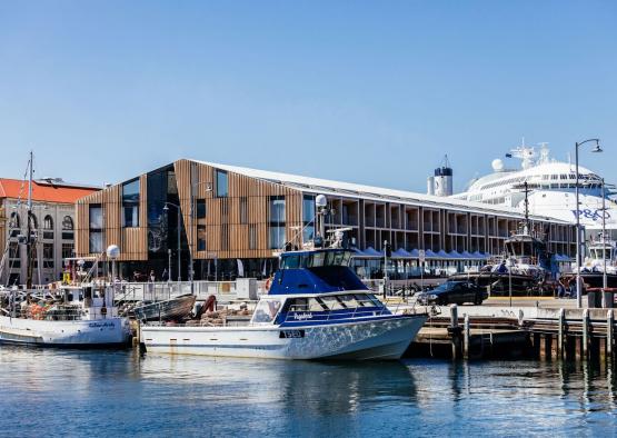 boats in a harbor with a building and boats