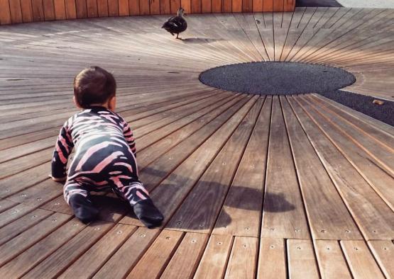 a baby crawling on a wooden deck