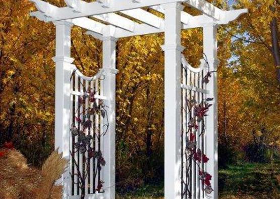 a white arbor with vines on it