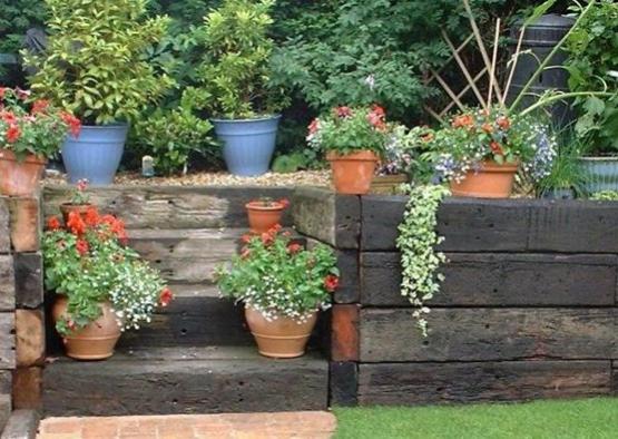 a group of potted plants on a wooden wall