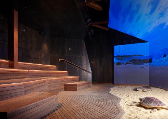 a wooden stairs in a room with a large screen