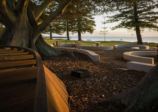 a park with benches and a tree
