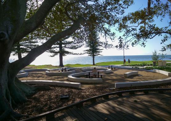 a park with a large tree and a beach