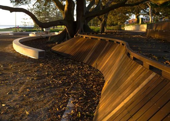a wooden bench next to a tree