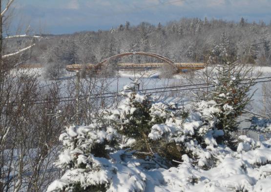 a snow covered trees and a bridge
