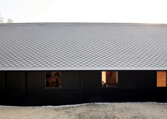 a black building with a horse in the window