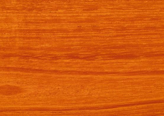 Cedar, Red  WoodSolutions