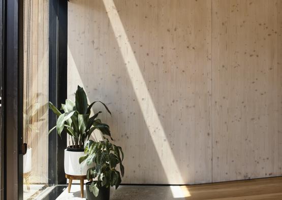 a room with a window and a potted plant