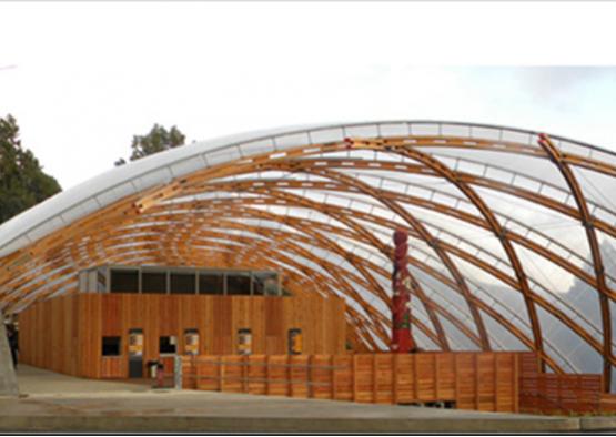 a wooden structure with a curved roof