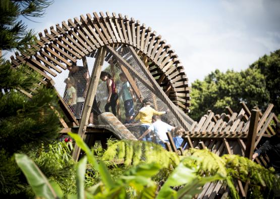 a group of people on a wooden structure