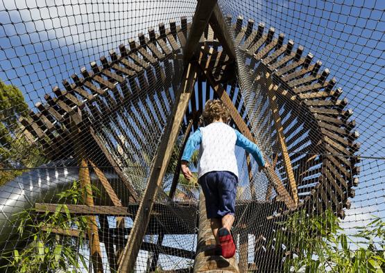 a child walking up a wooden ladder