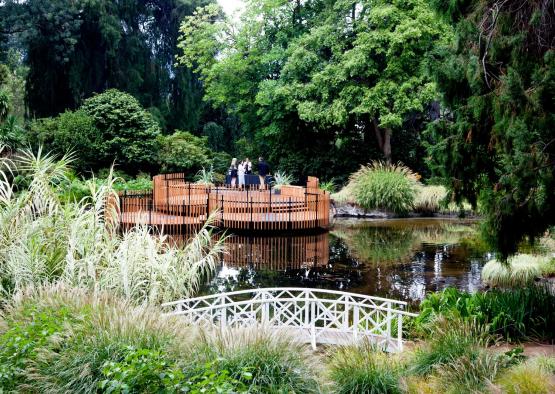 a group of people standing on a platform in a pond surrounded by trees