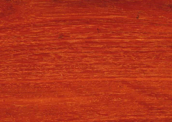 Gum Forest Red Woodsolutions