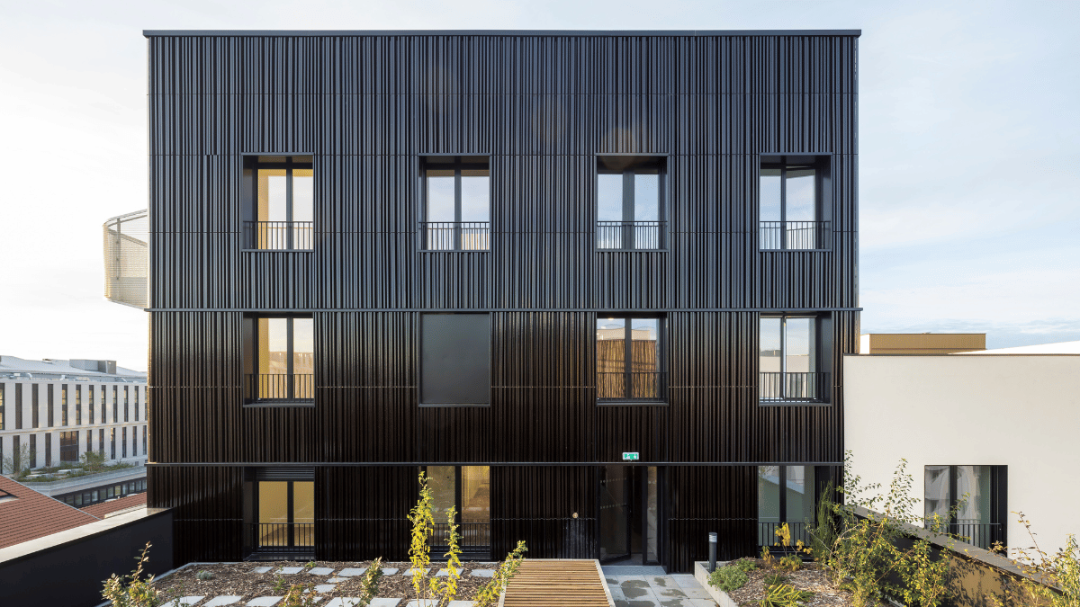 WS News Tile Meet the finalists