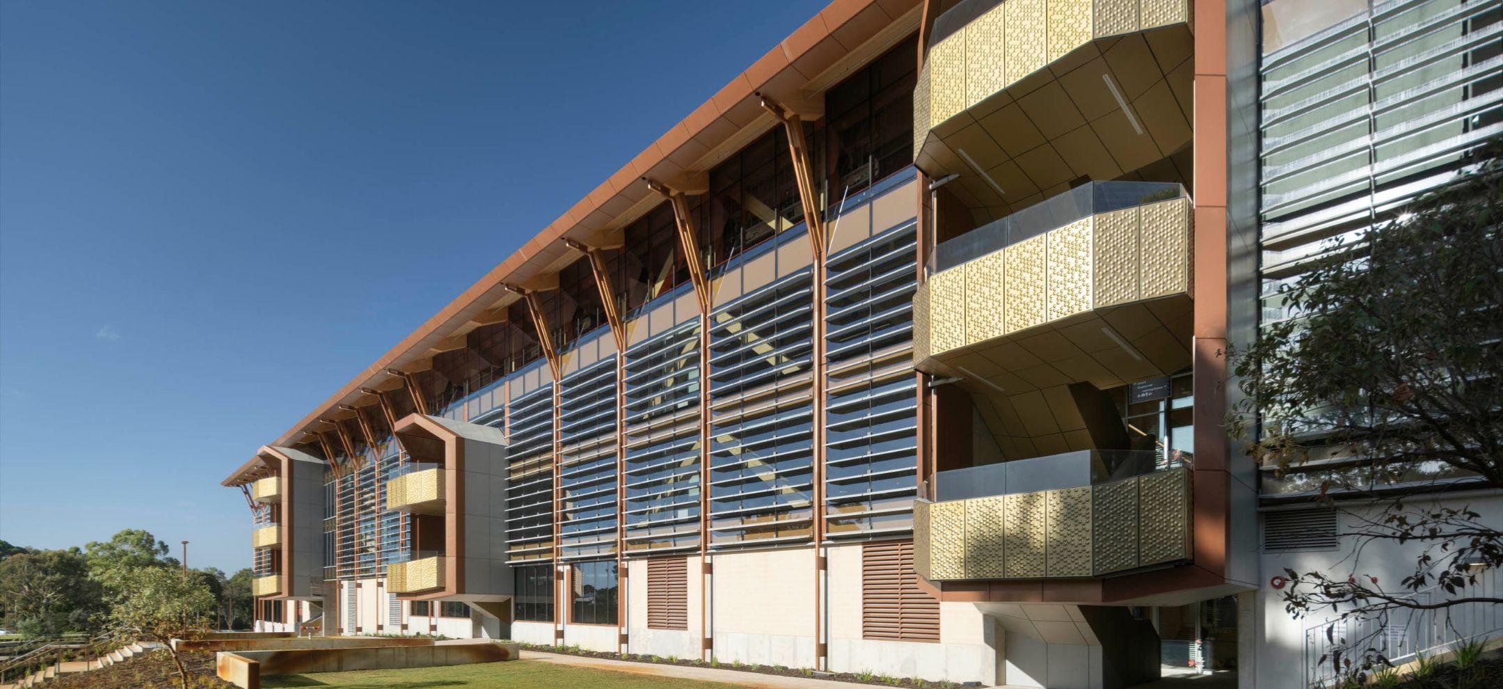 Image of Boola Katitjin student building made from mass timber