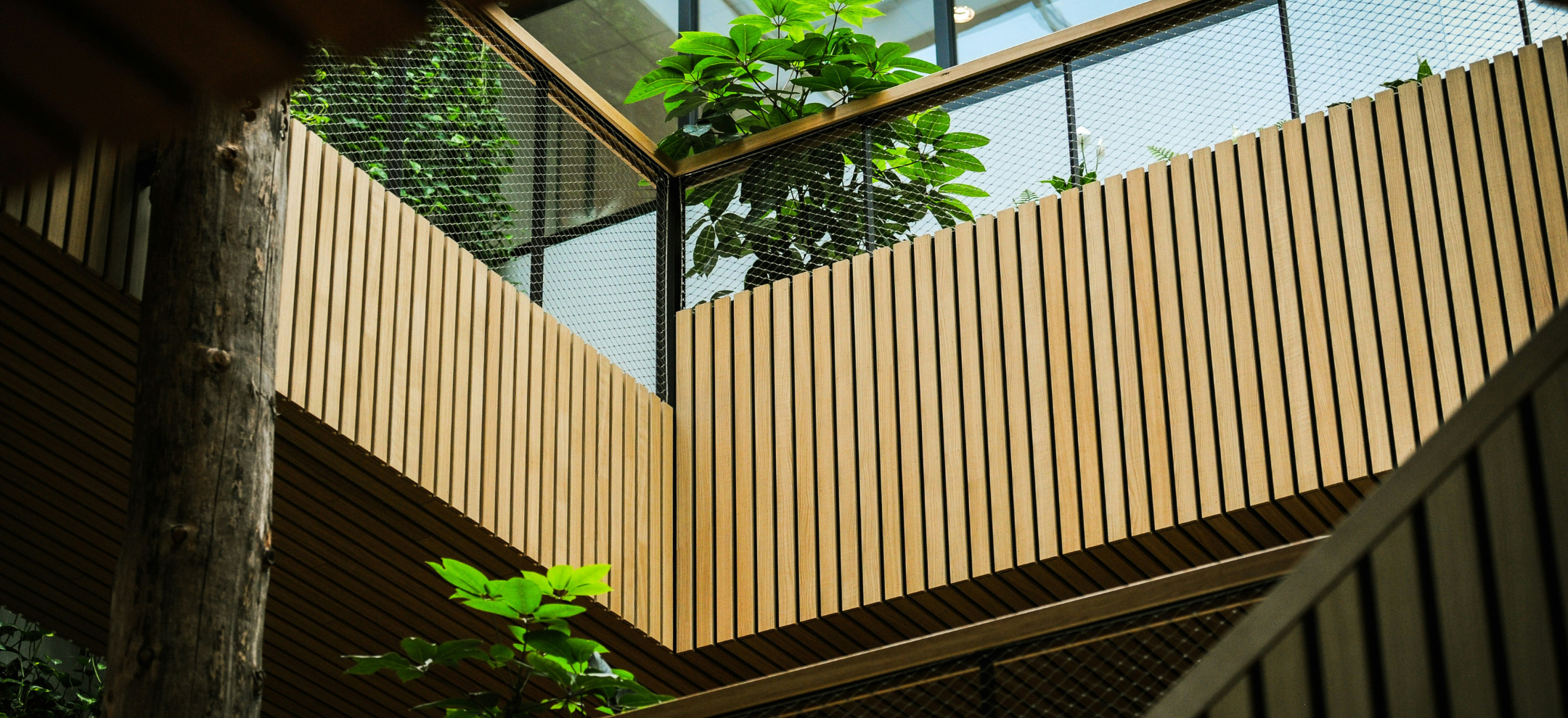 Looking up from ground level at timber balconies with bright green bushes and trees spilling over