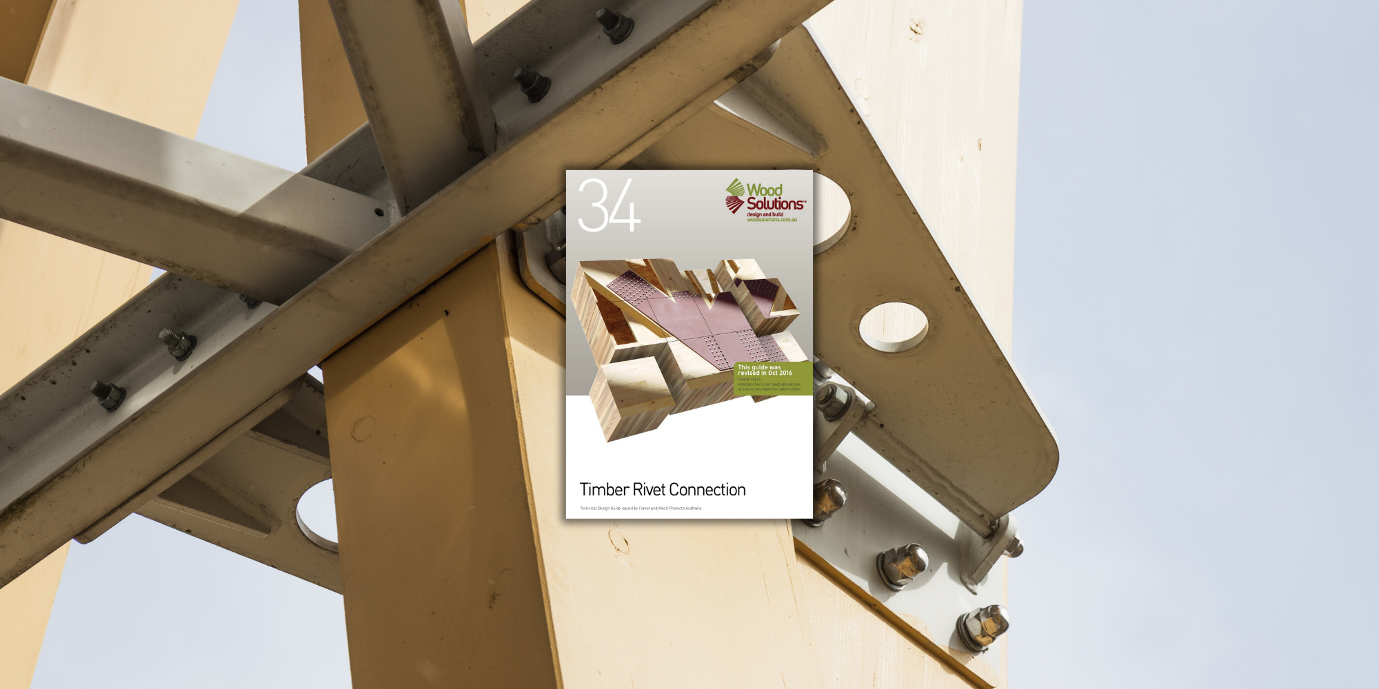 WS TDG 34 Timber Rivet Connection Cover