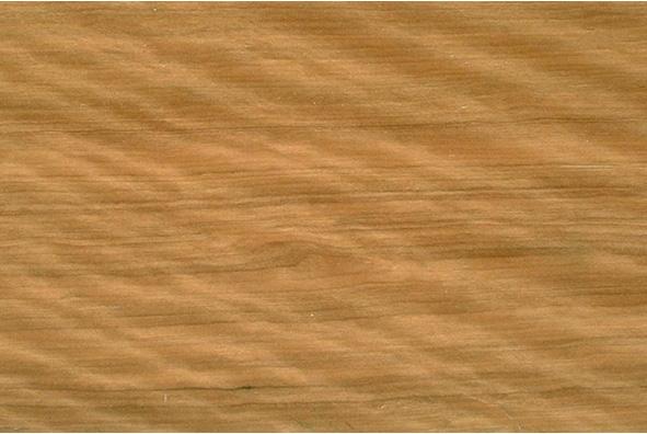 a close-up of a wood grain