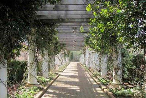 a walkway with white pillars and green plants