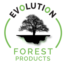 A shadow image of a tree with the company name Evolution Forest Products around the image