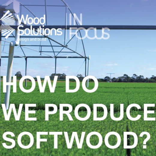 How Do We Produce Softwood