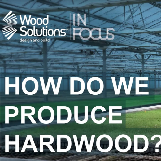 How do we produce hardwood?