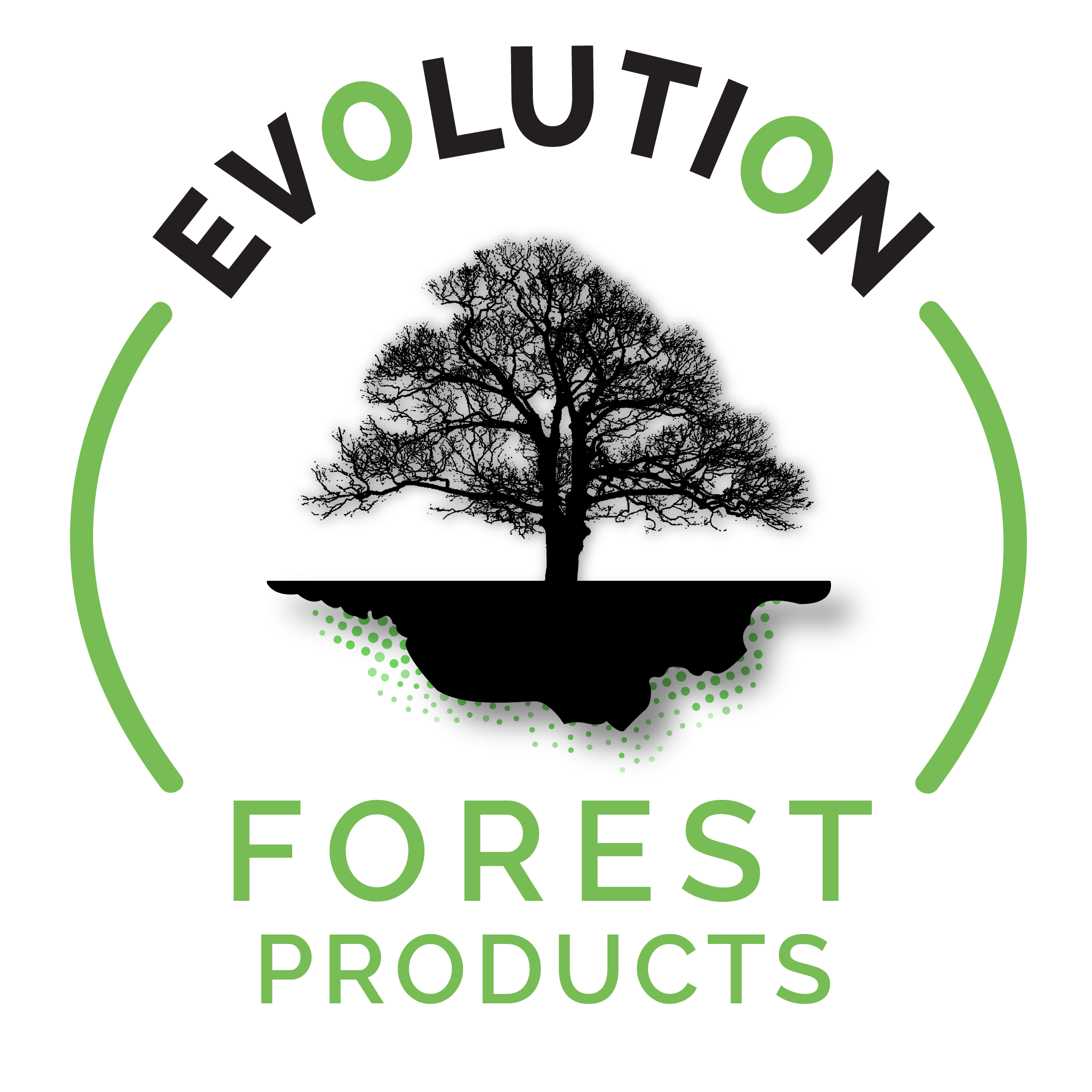A shadow image of a tree with the company name Evolution Forest Products around the image