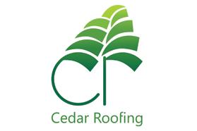 a logo with a leafy design