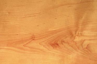 a close-up of a wood grain