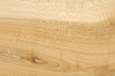 a close-up of a wood grain