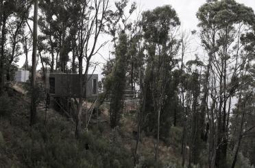 a tree house on a hill