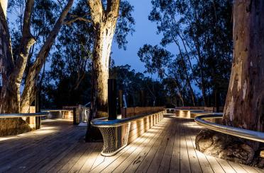 a wooden deck with lights and trees