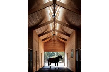 a horse inside a barn