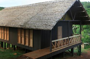 a house with a thatched roof